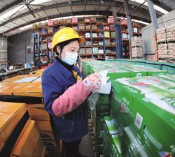 Chinese Warehouse worker