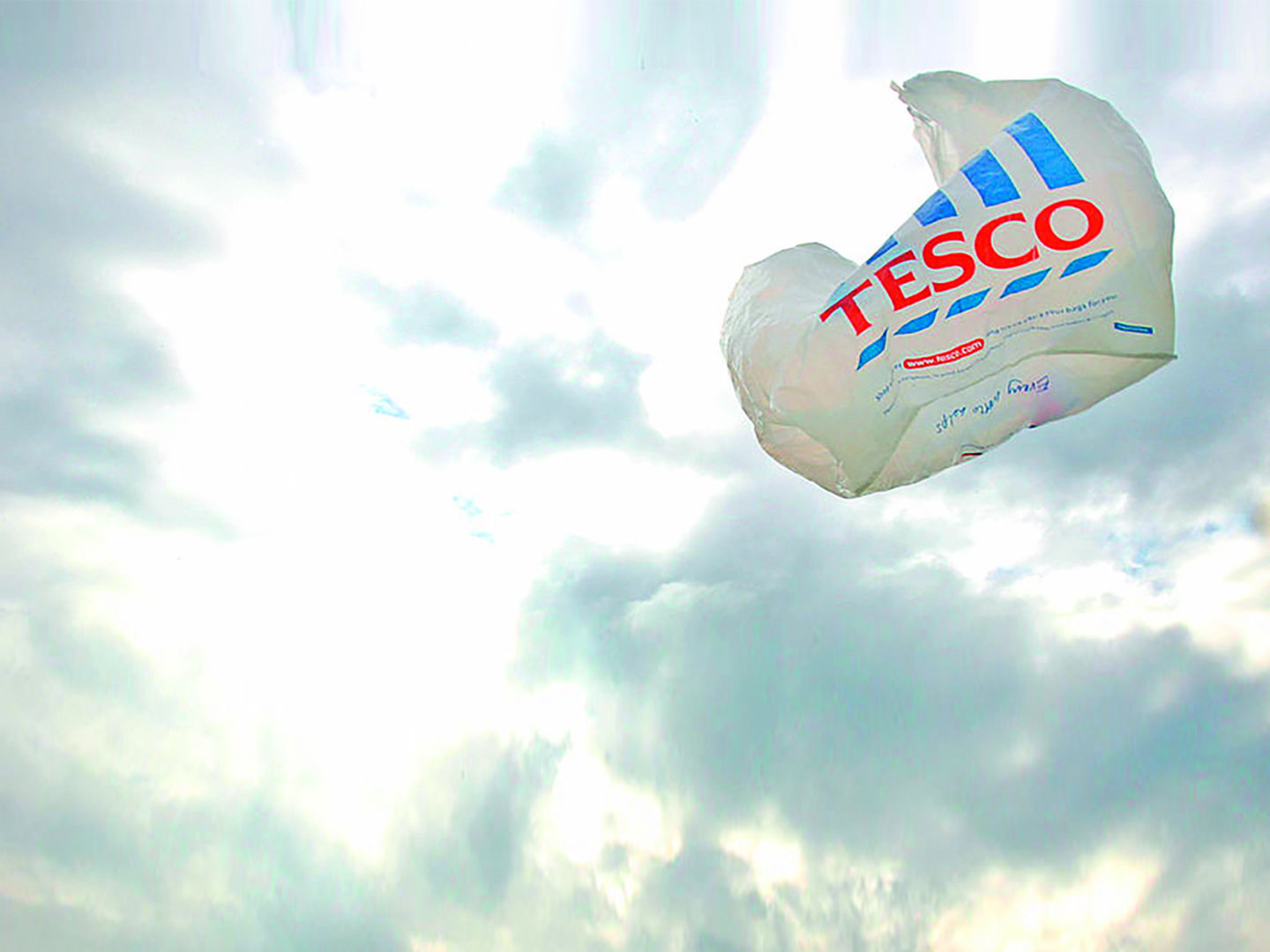 Tesco bag